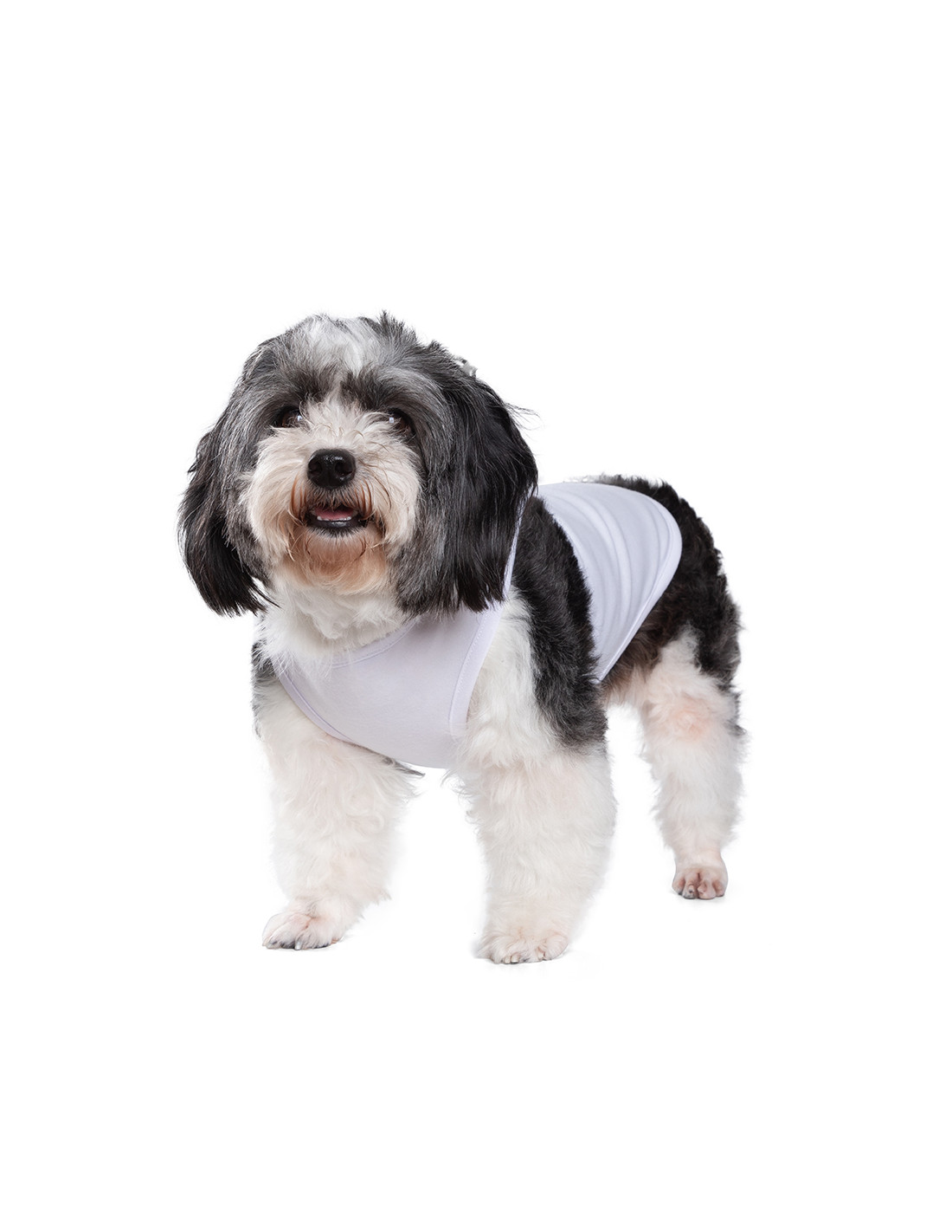 T-shirt débardeur pour chien à sublimation S (blanc)