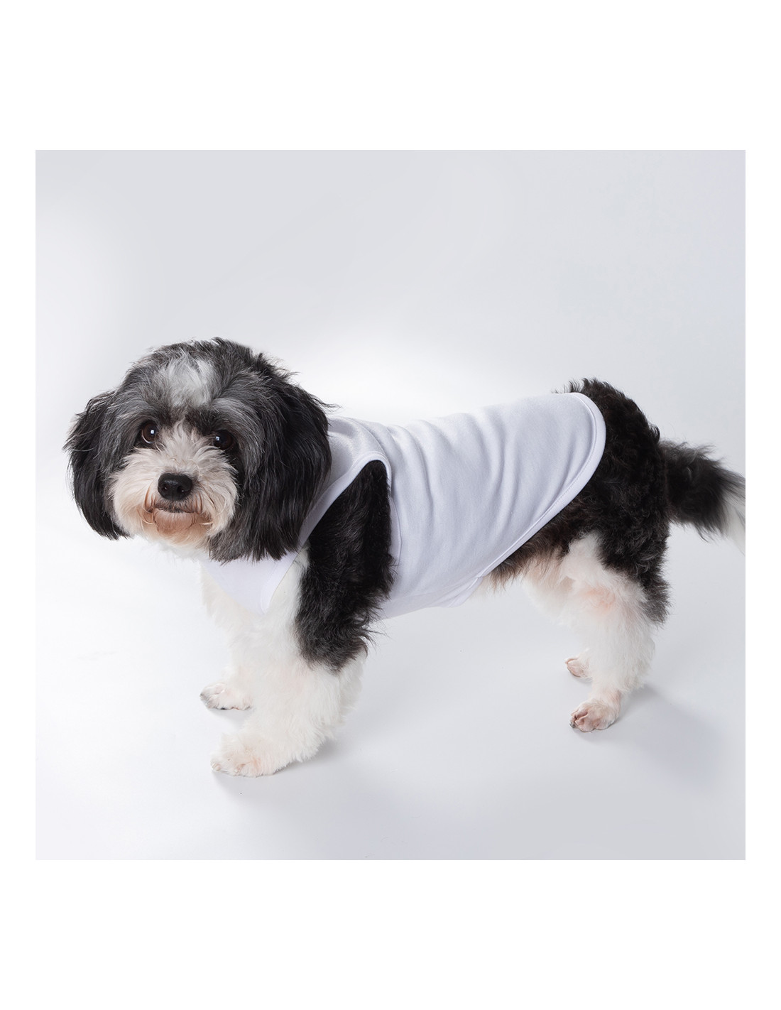 T-shirt débardeur pour chien à sublimation S (blanc)
