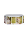 Gamelle pour chien