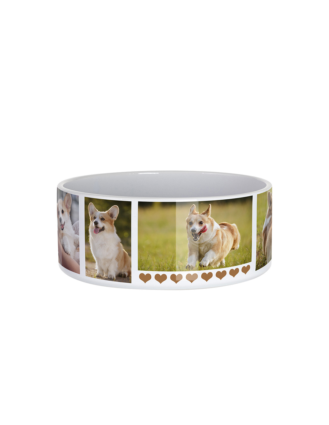 Gamelle pour chien