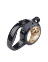 Laisse pour animaux de compagnie de 3 m avec insert en aluminium
