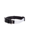 Collier de chien (petit)