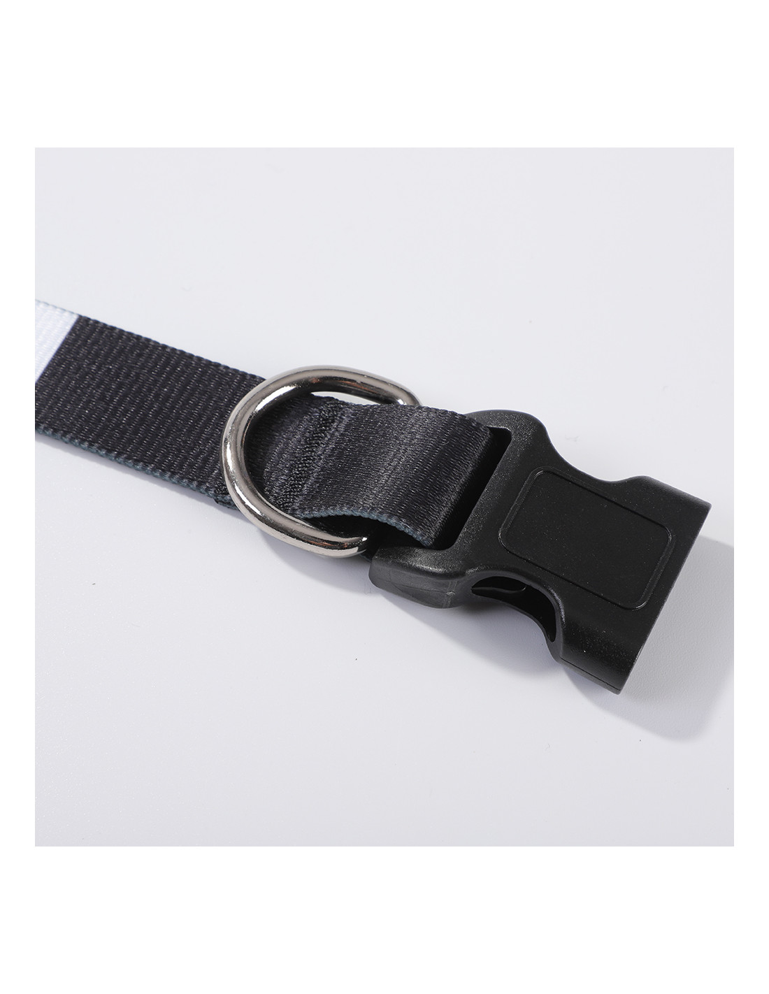 Collier pour chien (moyen, 2,5 x 56 cm)
