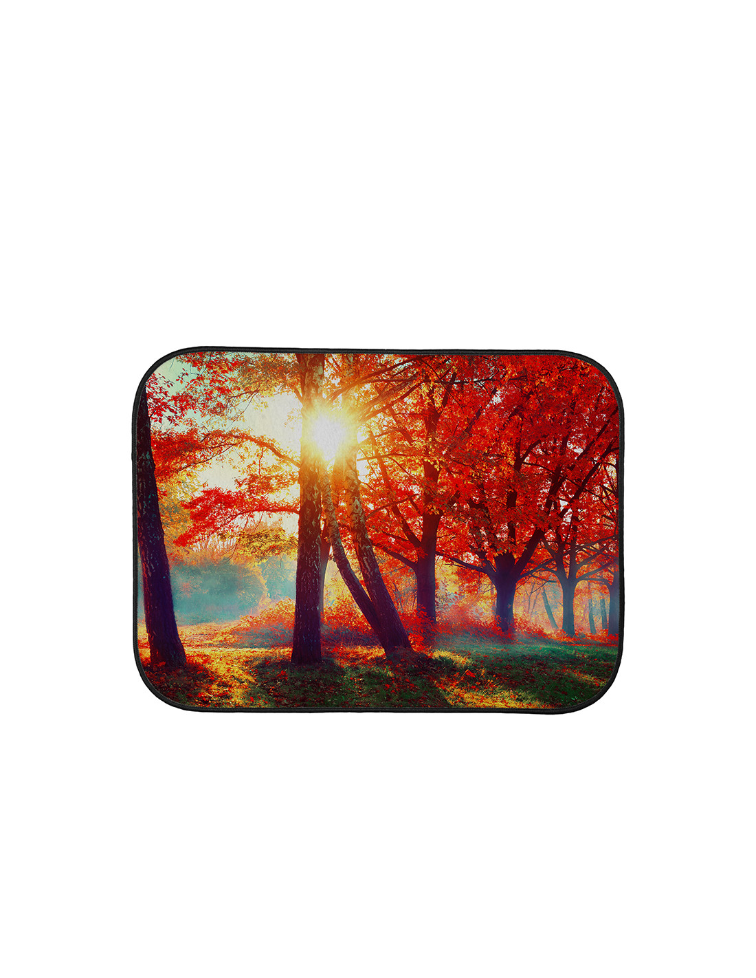 Tapis de voiture arrière (44*33 cm)