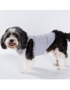 T-shirt débardeur pour chien à sublimation S (gris)