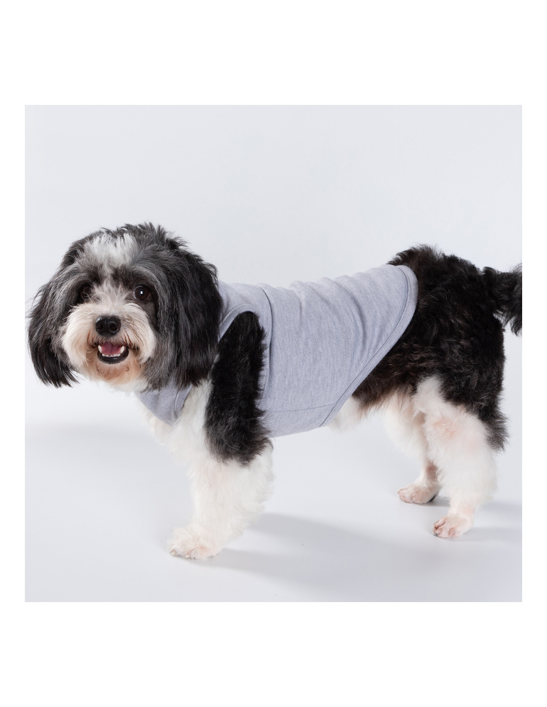 T-shirt débardeur pour chien à sublimation S (gris)