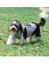 T-shirt débardeur pour chien à sublimation S (gris)